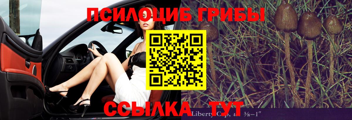 Галлюциногенные грибы MAGIC MUSHROOMS  Вход с VPN  Галлюциногенные грибы MAGIC MUSHROOMS  Среднеуральск 